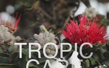 Tropic Care 2026: Joint Service, Community Partnership and Care Across Hawaiʻi Island