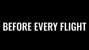 Fix Fly Horizontal