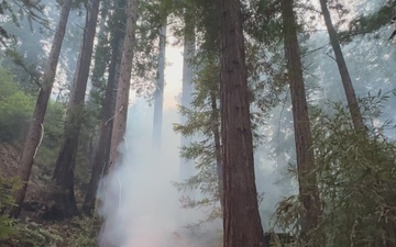 Timber Fire