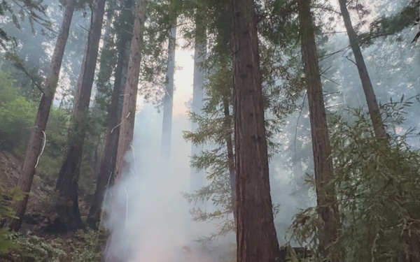 Timber Fire