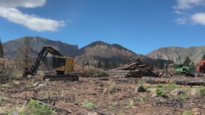 Post-Fire Logging on Dixie National Forest