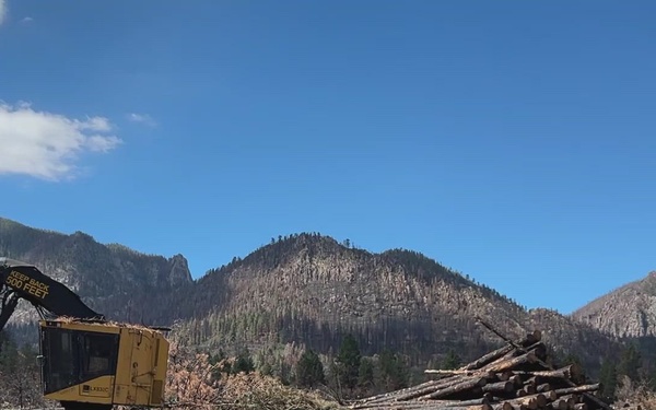 Post-Fire Logging on Dixie National Forest