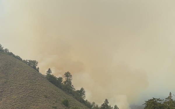 Timber Fire Firing Operation