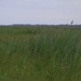 Watch: USACE Restores Roughly 70 Acres of Wetlands at Deal Island