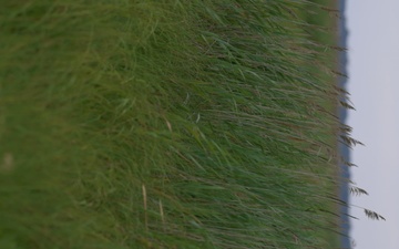 Watch: USACE Restores Roughly 70 Acres of Wetlands at Deal Island