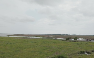 Watch: USACE Restores Roughly 70 Acres of Wetlands at Deal Island