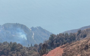 Timber Fire Operations