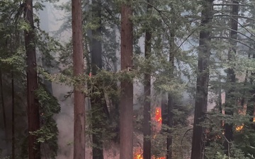 Timber Fire Urban Interface