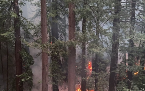 Timber Fire Urban Interface