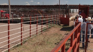 Under Secretary Hoskins and Leadership Observe Cattle Inspection and Crossing to US