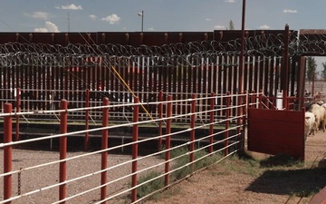 Under Secretary Hoskins and Leadership Observe Cattle Inspection and Crossing to US