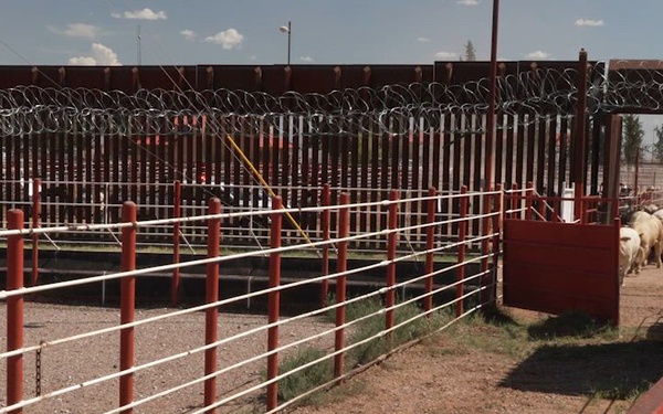 Under Secretary Hoskins and Leadership Observe Cattle Inspection and Crossing to US