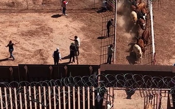 Under Secretary Hoskins and Leadership Observe Cattle Inspection and Crossing to US