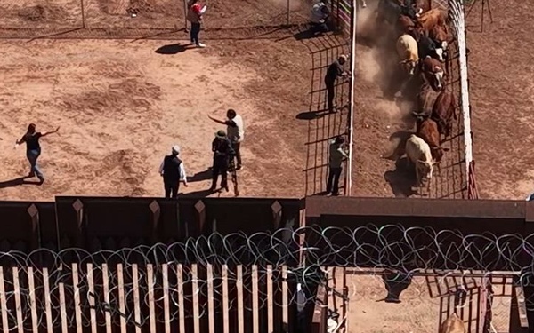 Under Secretary Hoskins and Leadership Observe Cattle Inspection and Crossing to US