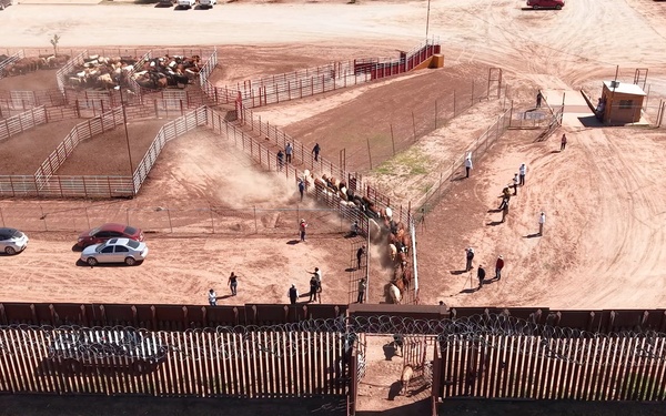 Under Secretary Hoskins and Leadership Observe Cattle Inspection and Crossing to US