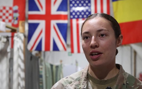 U.S. Soldiers and Allies with the NATO FLF Battle Group conduct mass casualty exercise