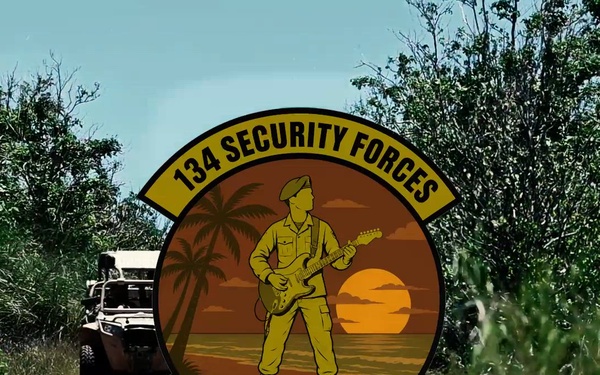 134th SFS conduct building clearing exercise in Guam