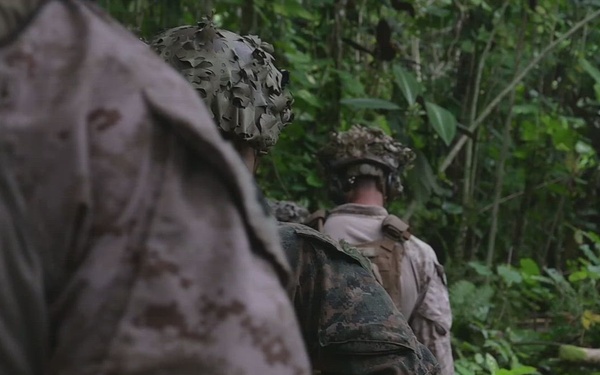 B-Roll: DELAYEN 26: MRF-D Marines participate in point-man reaction course