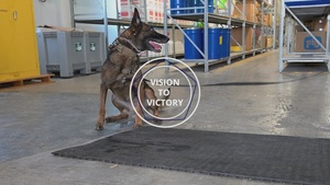 Naval Support Activity Souda Bay Performs Military Working Dog Training