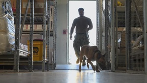 Naval Support Activity Souda Bay Performs Military Working Dog Training