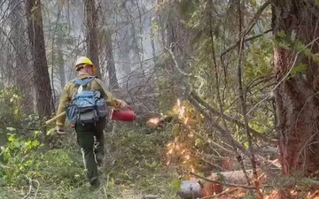 Active-duty U.S. Army Soldiers from 7th Infantry Division activated as wildland firefighters on the Little Giant Fire