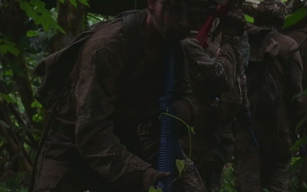 B-Roll: DELAYEN 26: MRF-D Marines, French soldiers participate in endurance course