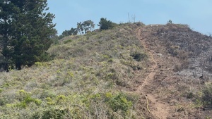 Plaskett Fire along Highway 1
