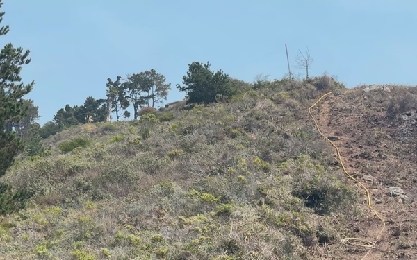 Plaskett Fire along Highway 1