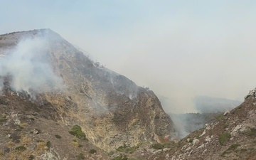 Plaskett Fire near Willow Creek