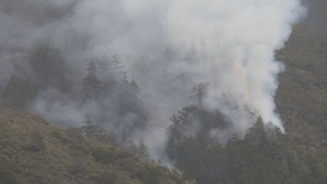 Plaskett Fire