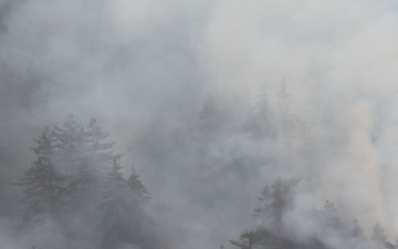 Plaskett Fire