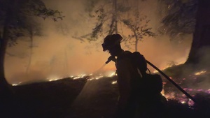 Firefighters Conduct Night Firing Operation on Timber Fire