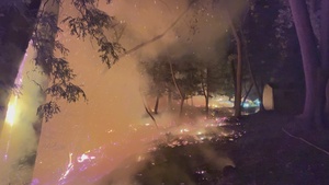 Firefighters Conduct Night Firing Operation on Timber Fire