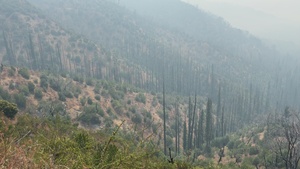 Plaskett Fire Smoke