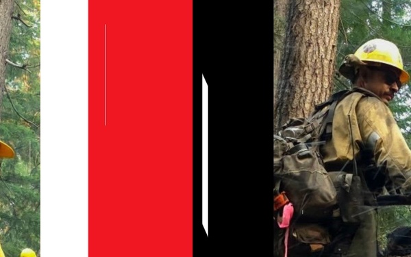 National Guard August 2026 SITREP