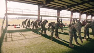 OTS B-roll package 1 - Combatives Training