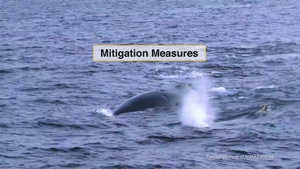 At-Sea Environmental Stewardship Efforts by the U.S. Navy and U.S. Coast Guard in the Pacific Northwest and Southeast Alaska