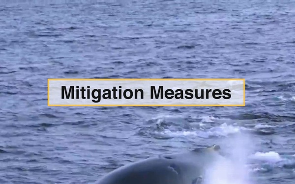 At-Sea Environmental Stewardship Efforts by the U.S. Navy and U.S. Coast Guard in the Pacific Northwest and Southeast Alaska