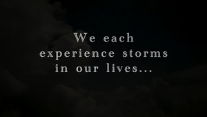 Weather the storm. Stay for the calm.