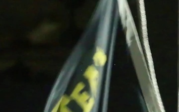 1st Cavalry Division celebrates 105 years during Cav Week