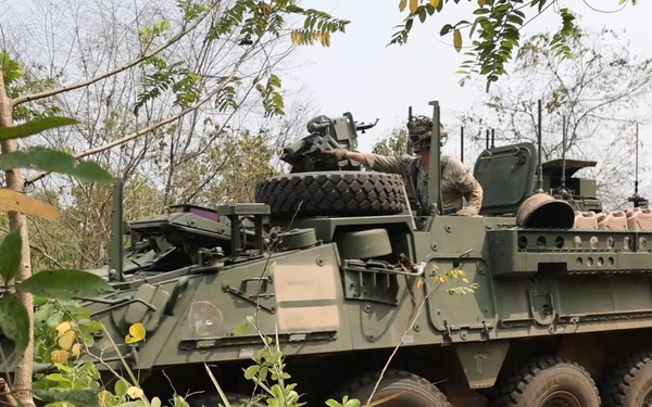 SGS 26 Platoon Live-Fire Exercise (B-Roll)