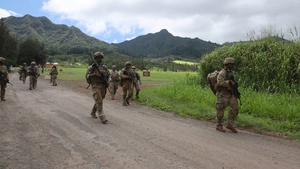 95th Combat Engineer Company - Infantry conduct LFX exercise