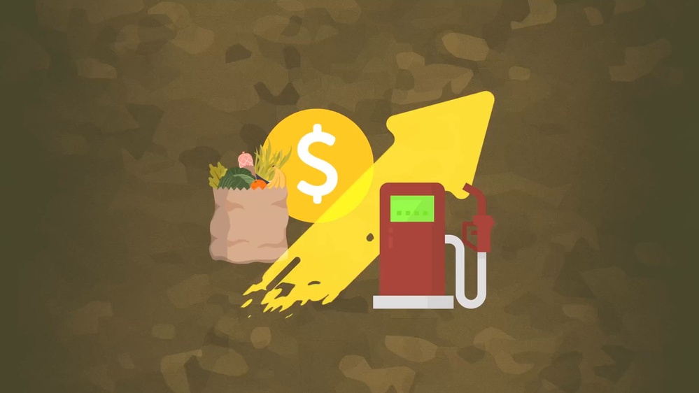 DVIDS - Video - Financial Readiness Basic Needs Allowance PSA