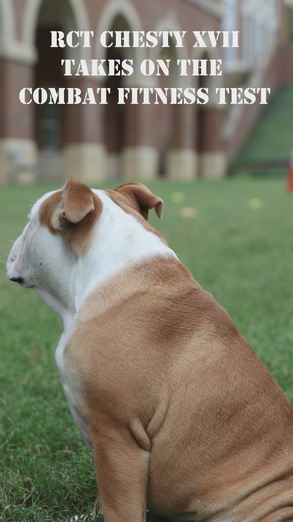 DVIDS - Video - Recruit Chesty XVII runs his Combat Fitness Test