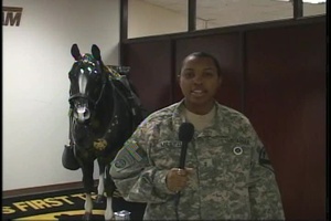 Chief Warrant Officer Carmeshia Miller