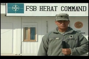 Lt. Col. Robert Lim