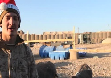 Lance Cpl. David Dewitt