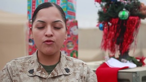 Sgt. Luz Garcia