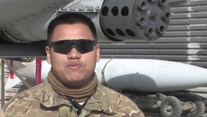 Airman 1st Class NIKKO LEON GUERRENRO