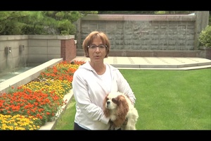 Diane Davis